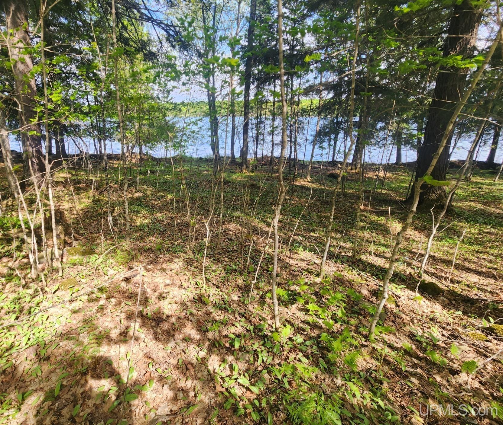 Lot 18 University Road Iron River, MI 49935 - Photo 9 of 36 Gallery Image 9