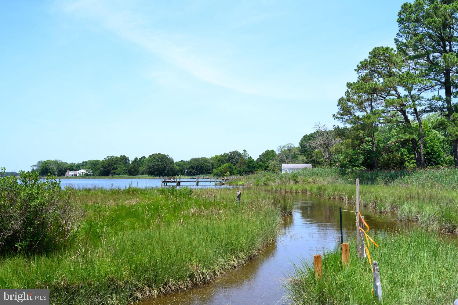 8000 Bozman Neavitt Road St. Michaels, MD 21663 - Photo 12 of 57 a view of a lake with houses in the back
