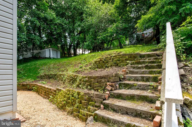 a view of a garden with plants