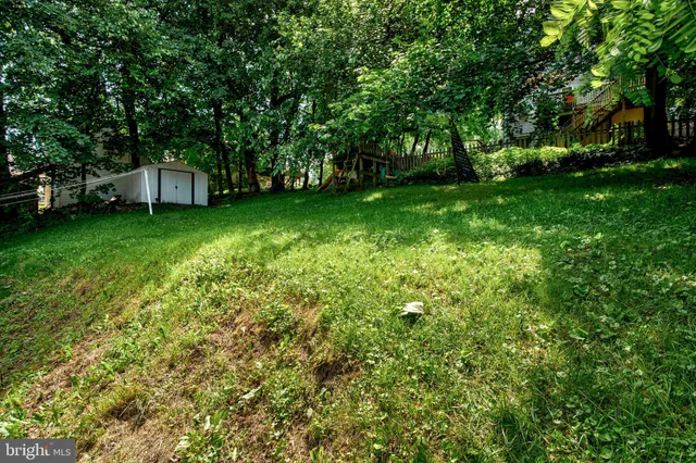 a tall tree in middle of green field