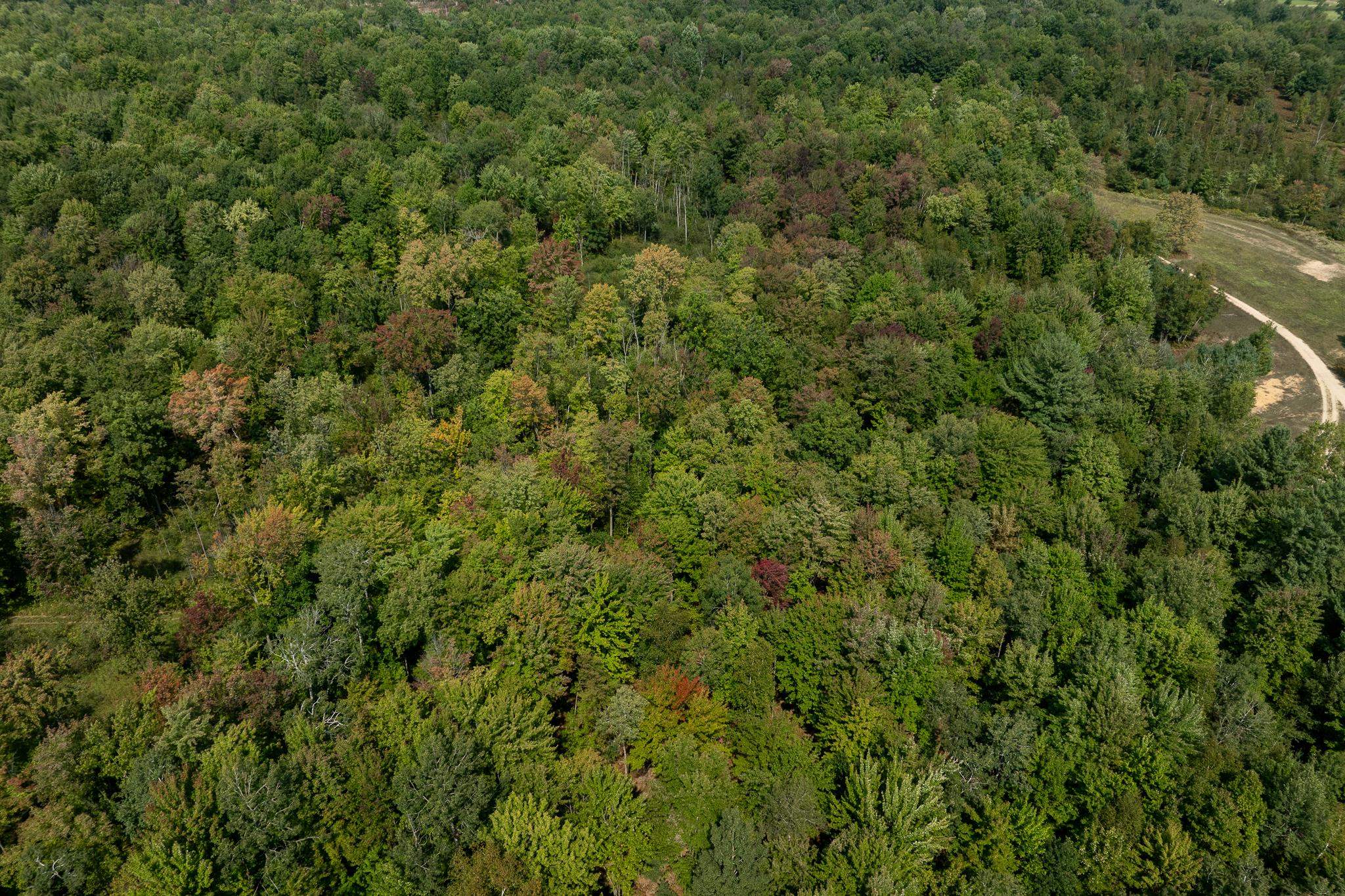 710-730 West Howard Road Beaverton, MI 48612 - Photo 60 of 82 1926814-C7739F28-4548-48B0-B0FF-DD9CD8A8786B.JPG