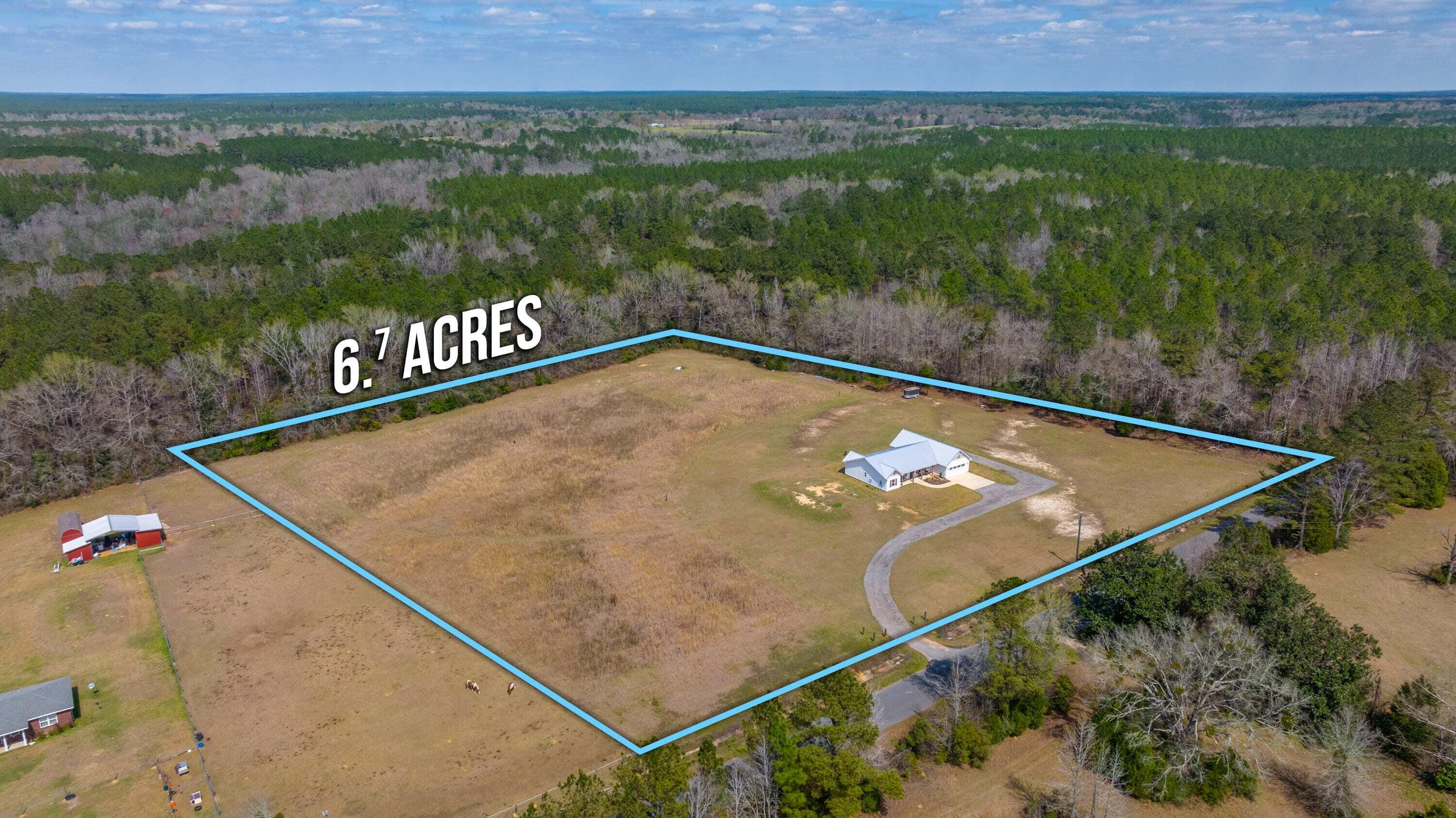 8151 Tommy Steele Road Baker, FL 32531 - Photo 36 of 36 a view of a back yard