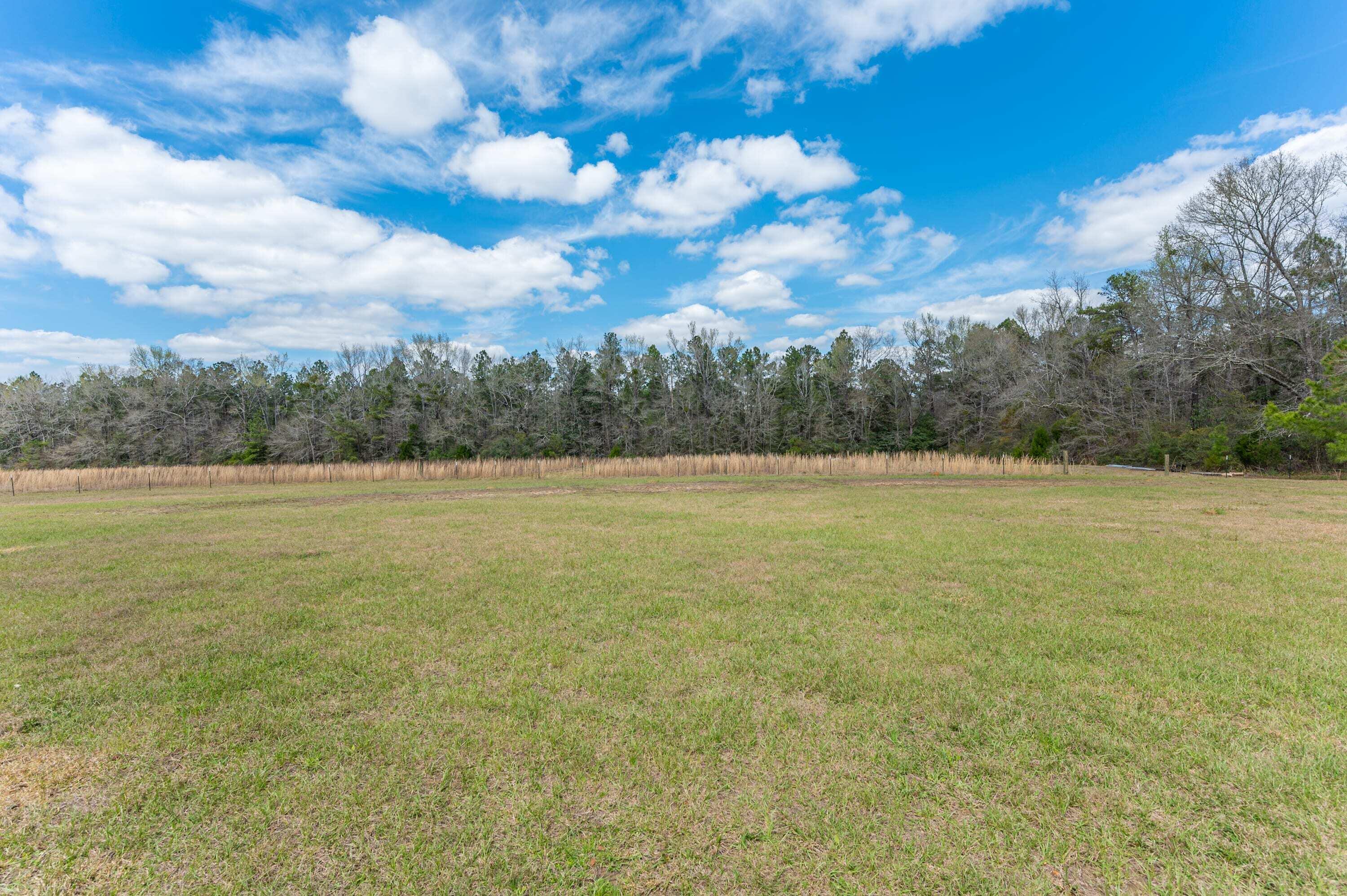 8151 Tommy Steele Road Baker, FL 32531 - Photo 6 of 36 a view of a field with an ocean