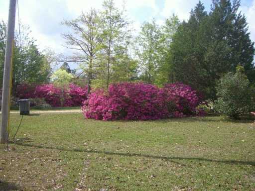 29 Bill Brooks Road Hattiesburg, MS 39401 - Photo 3 of 7 Additional Photo