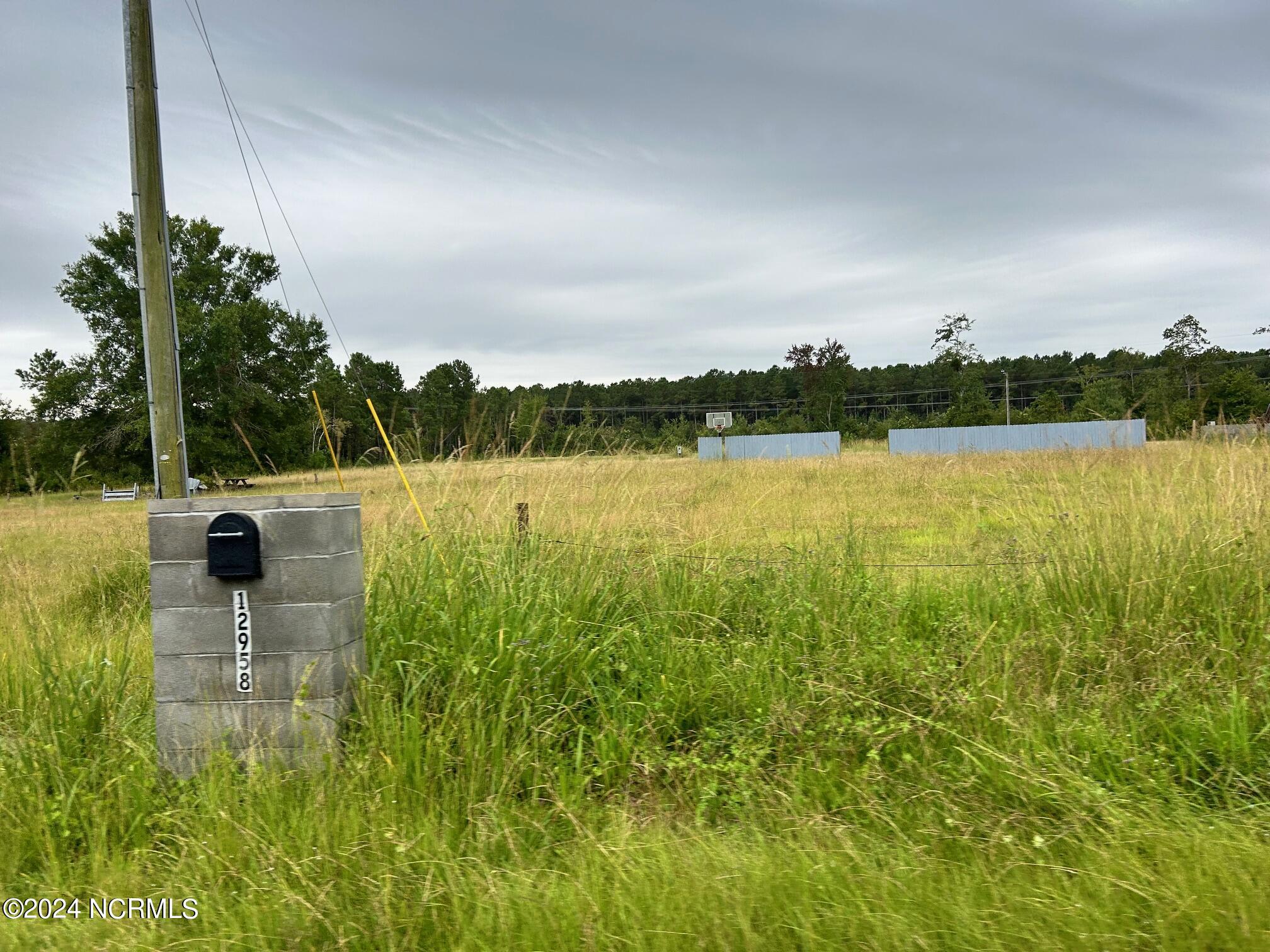 12958 Old Lake Road Riegelwood, NC 28456 - Photo 4 of 10 Lot