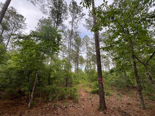 4 Fox Young Road, Unit FYF 4 Wagener, SC 29164 - Photo 3 of 13