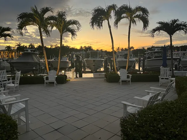 a view of outdoor space with palm trees
