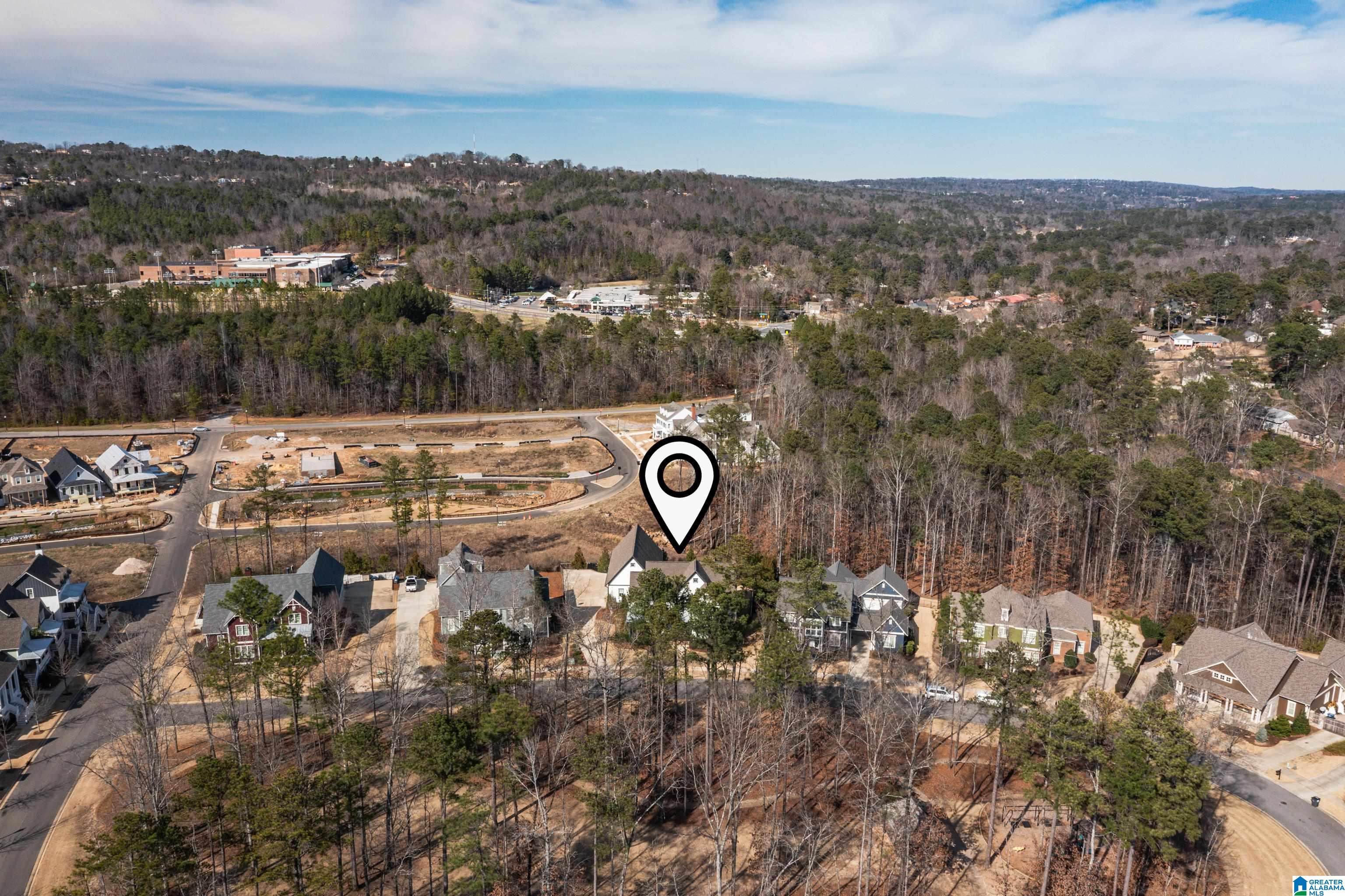 4258 Renaissance Park Circle Birmingham, AL 35226 - Photo 7 of 100