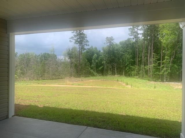 216 Blue Wing Court Conway, SC 29527 - Photo 11 of 11