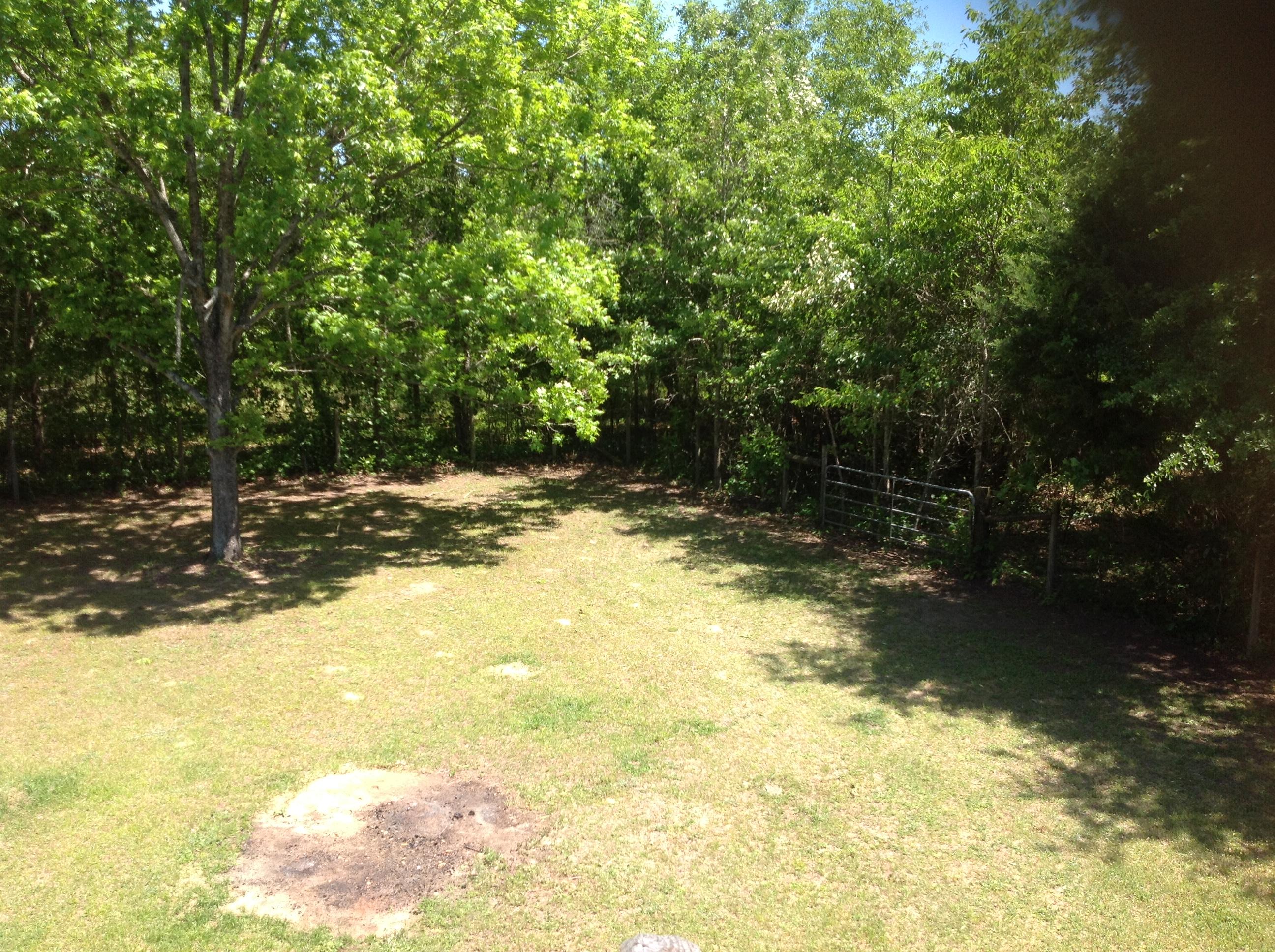 1189 Gardensgate Road Eutawville, SC 29048 - Photo 27 of 36 Deck view