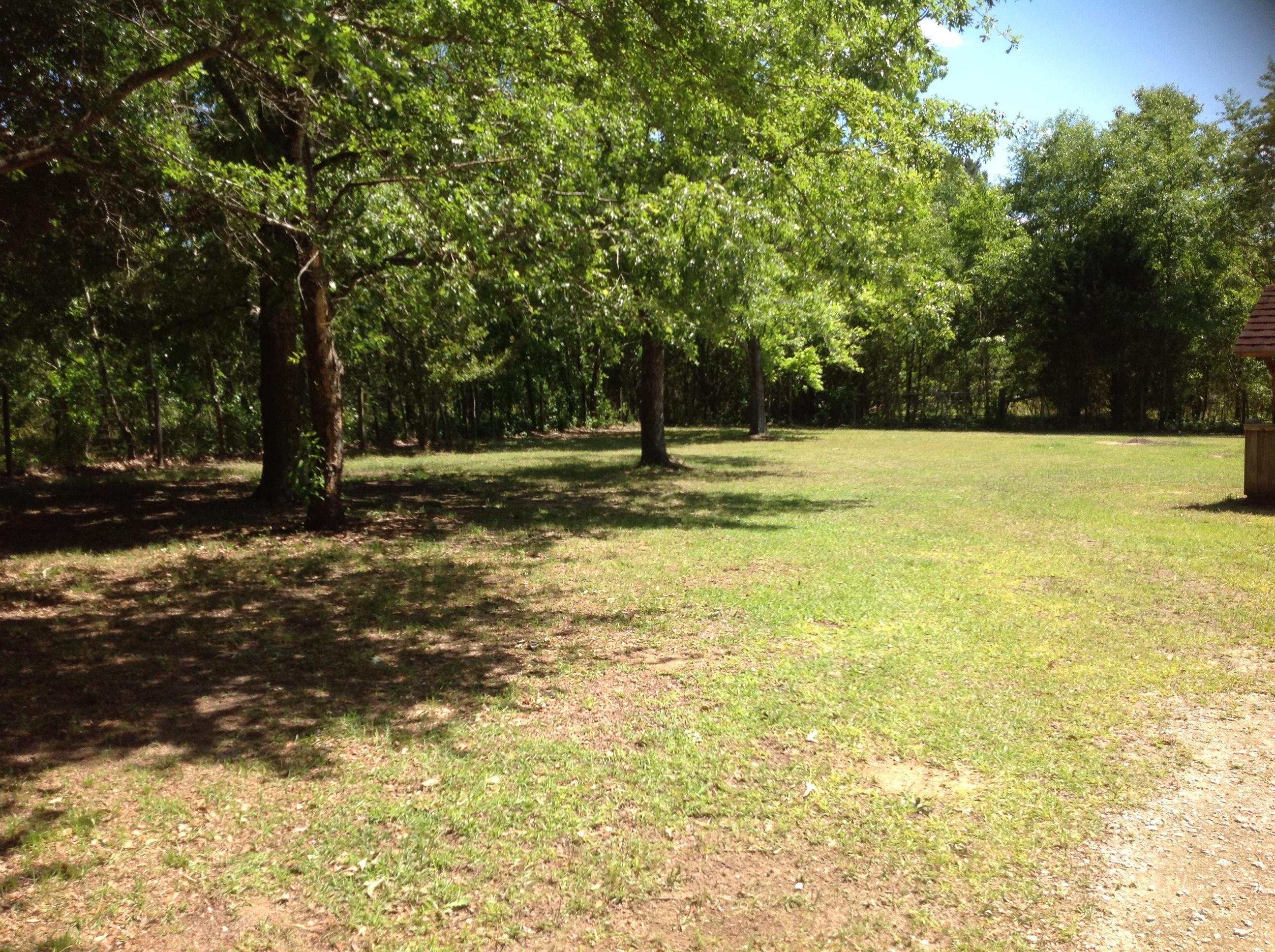 1189 Gardensgate Road Eutawville, SC 29048 - Photo 30 of 36 Side yard