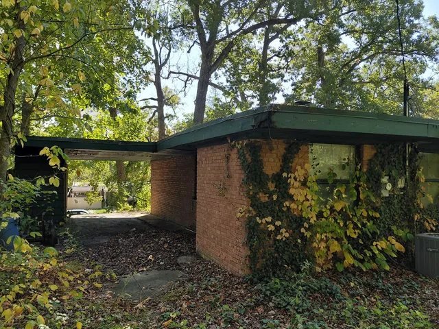 a view of a yard with plants