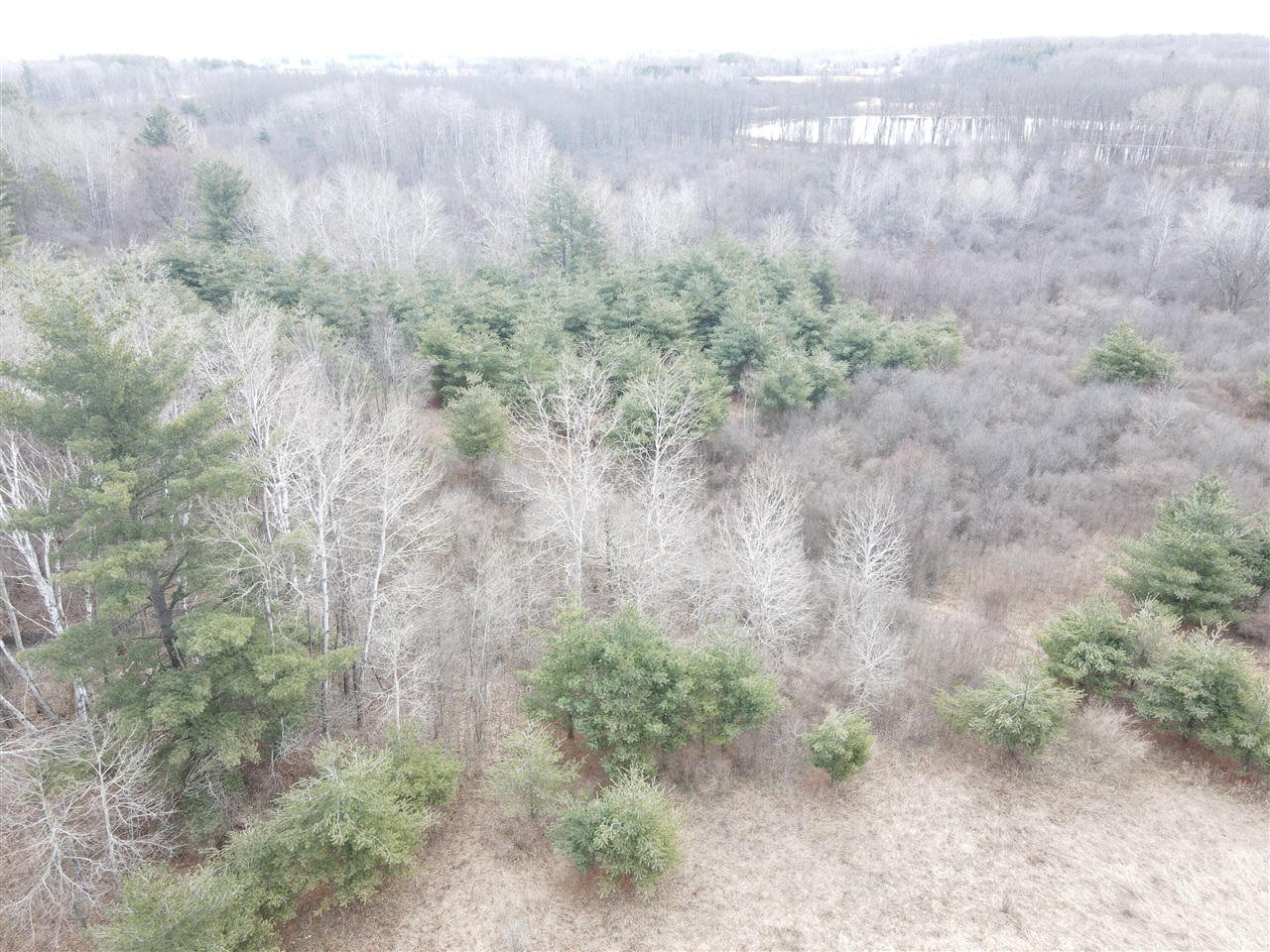 4 4 Mile Road Evart, MI 49631 - Photo 26 of 30