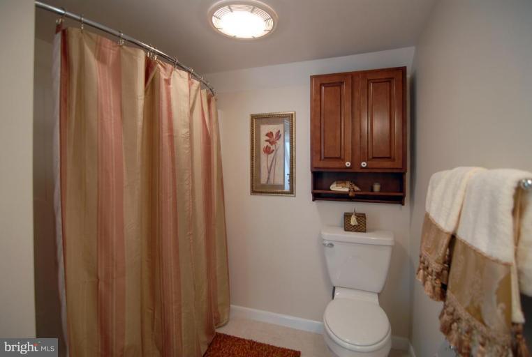 10929 Beach Mill Road Great Falls, VA 22066 - Photo 22 of 27 Upper hall bath 2