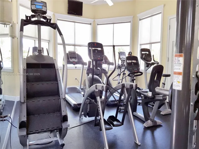 a view of a yard with a tree in a garden