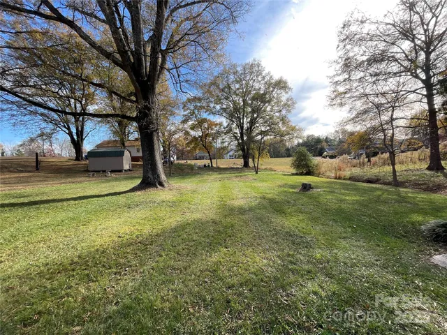 a view of a backyard with large trees