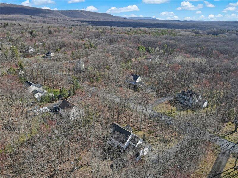 1135 Juno Drive Effort, PA 18330 - Photo 66 of 68 a view of a dry yard with an outdoor space