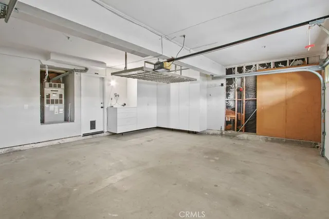 a view of a garden with a palm tree