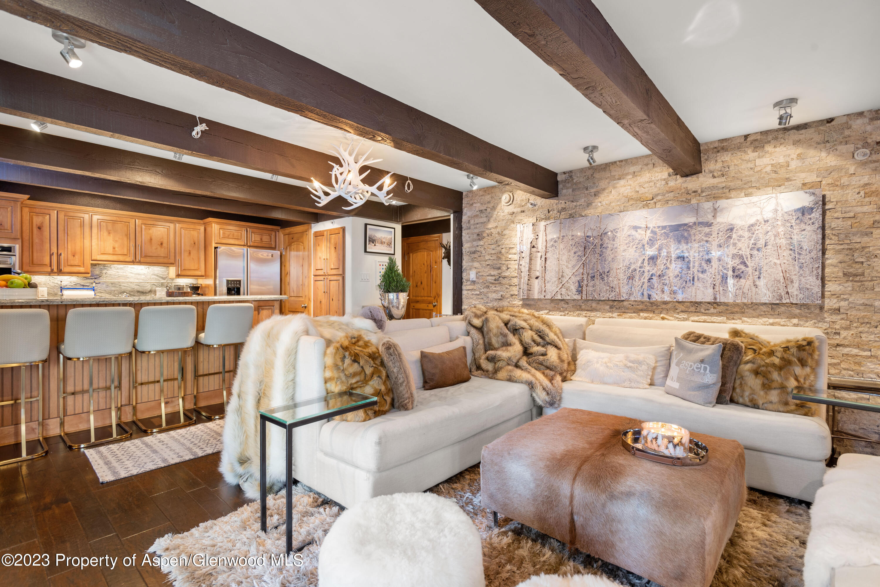 1034 East Cooper Avenue, Unit 4A Aspen, CO 81611 - Photo 3 of 22 Living Room 2