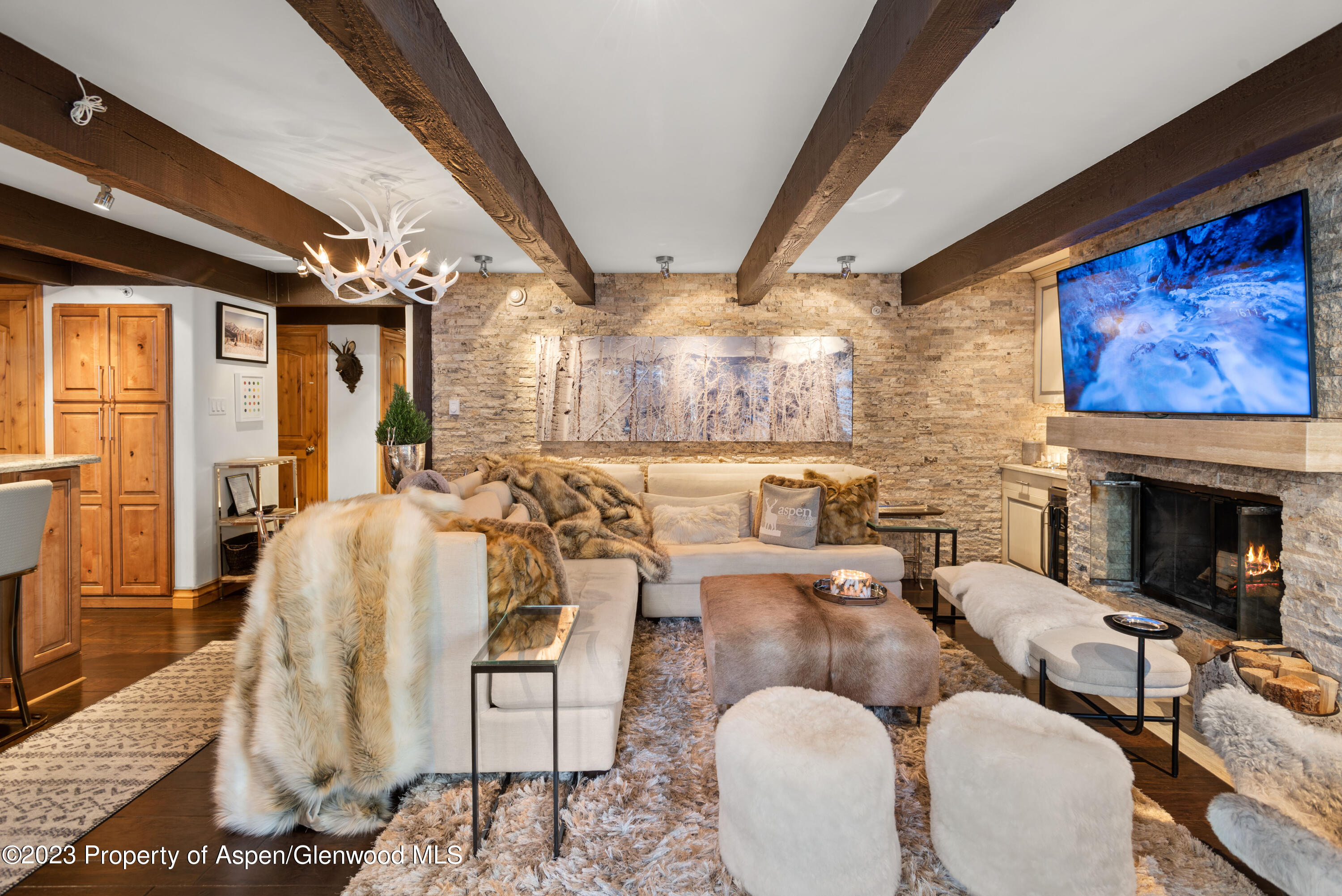 1034 East Cooper Avenue, Unit 4A Aspen, CO 81611 - Photo 4 of 22 Living Room 3