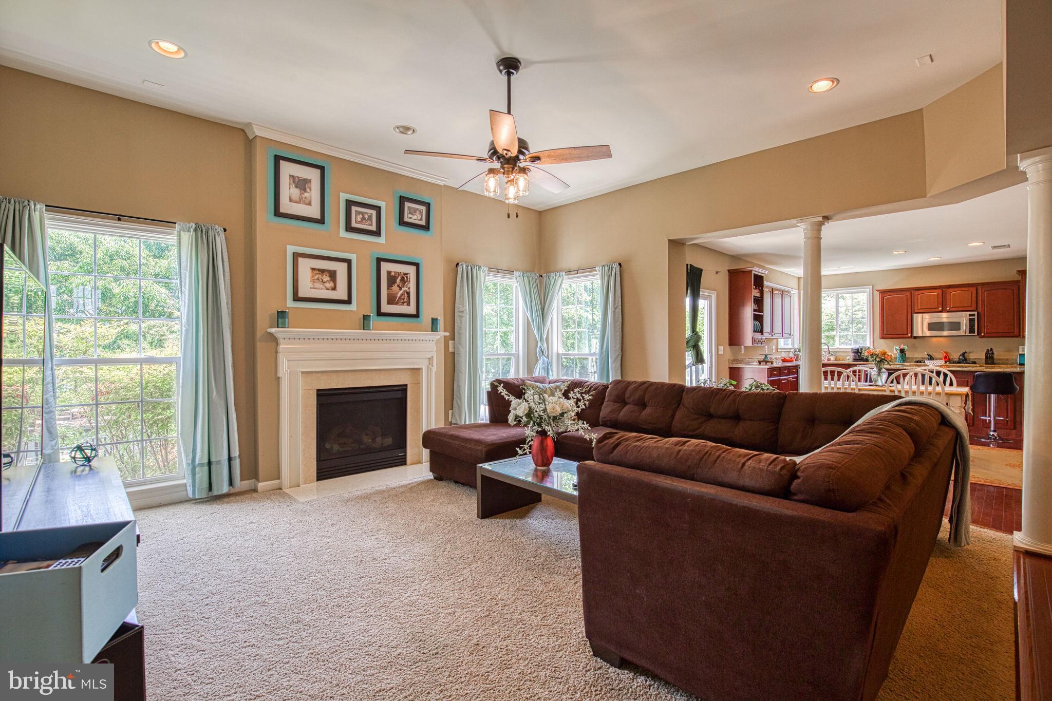 162 Riggs Road Fredericksburg, VA 22405 - Photo 14 of 62 FAMILY ROOM GAS FIREPLACE