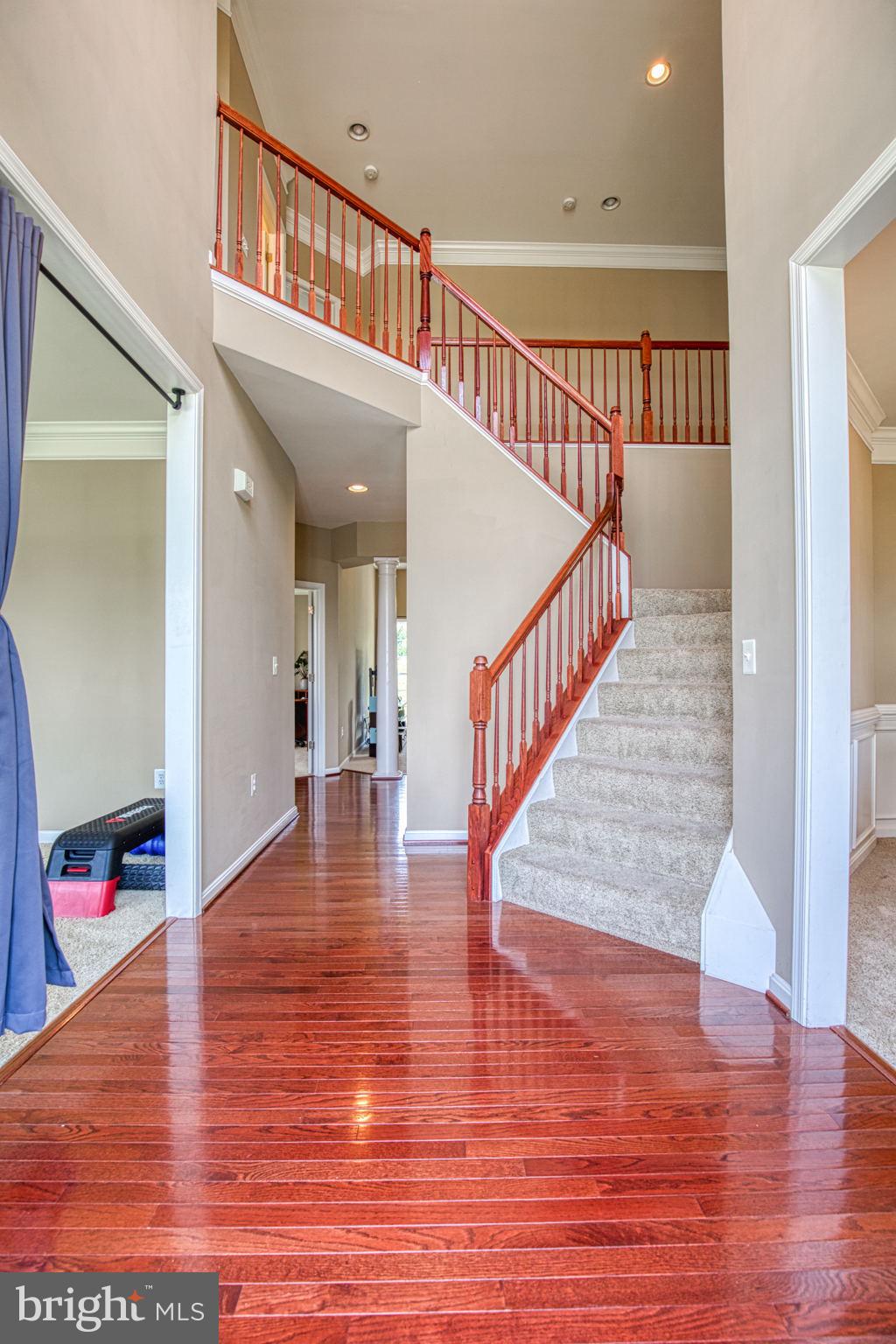 DUAL STAIRCASE