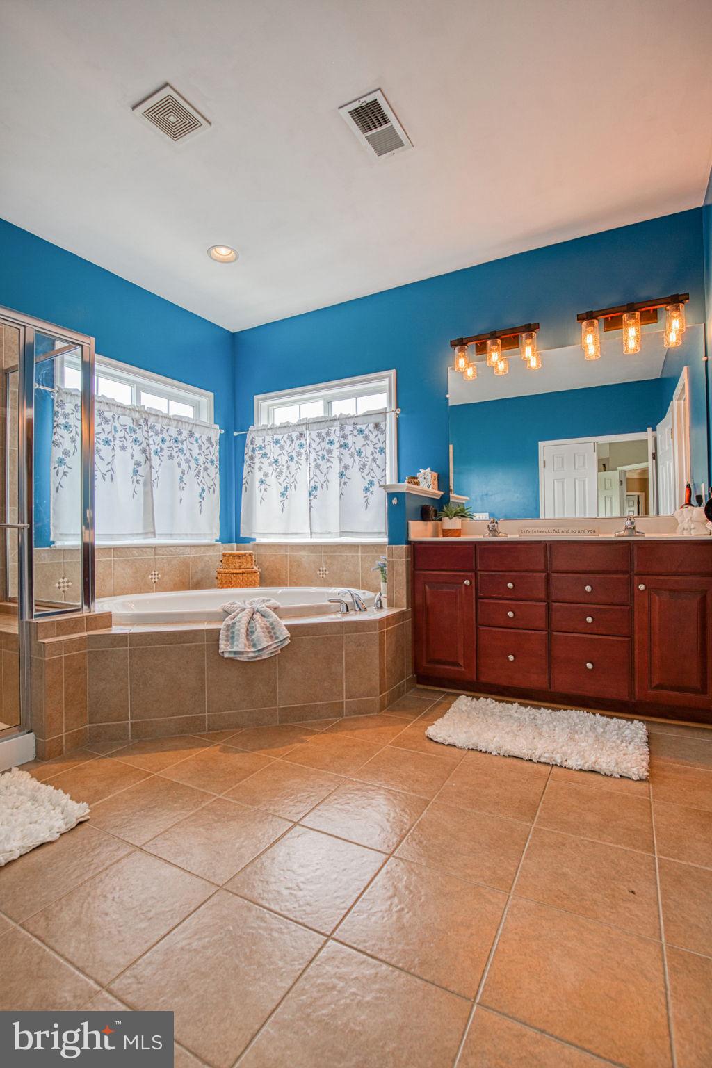 162 Riggs Road Fredericksburg, VA 22405 - Photo 38 of 62 SOAKING TUB/DOUBLE SINK