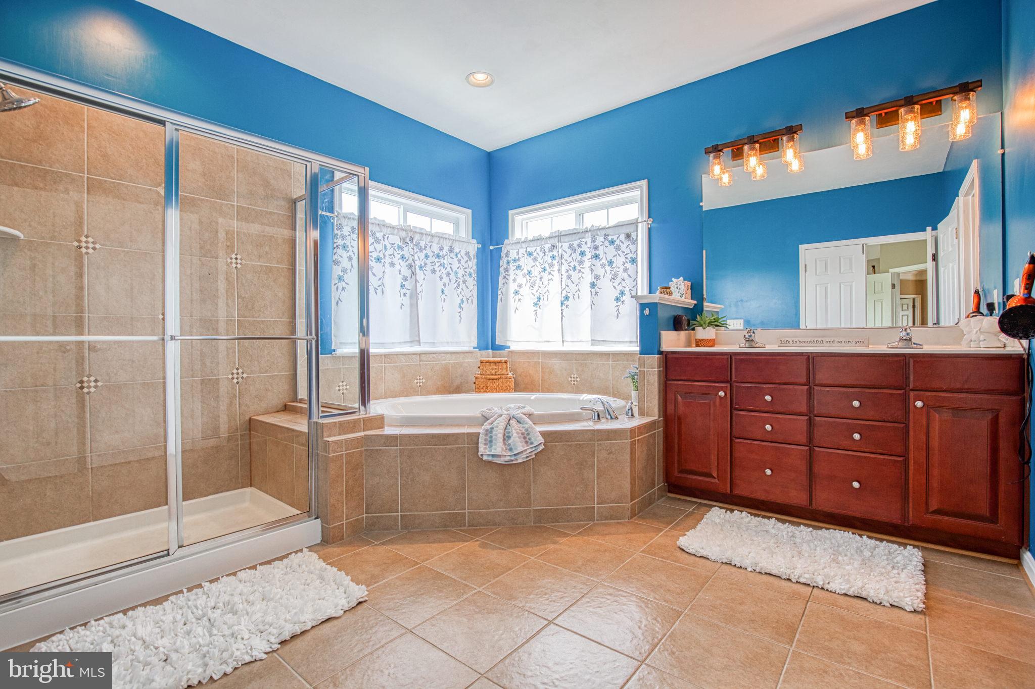 162 Riggs Road Fredericksburg, VA 22405 - Photo 39 of 62 SEPARATE SHOWER/TUB