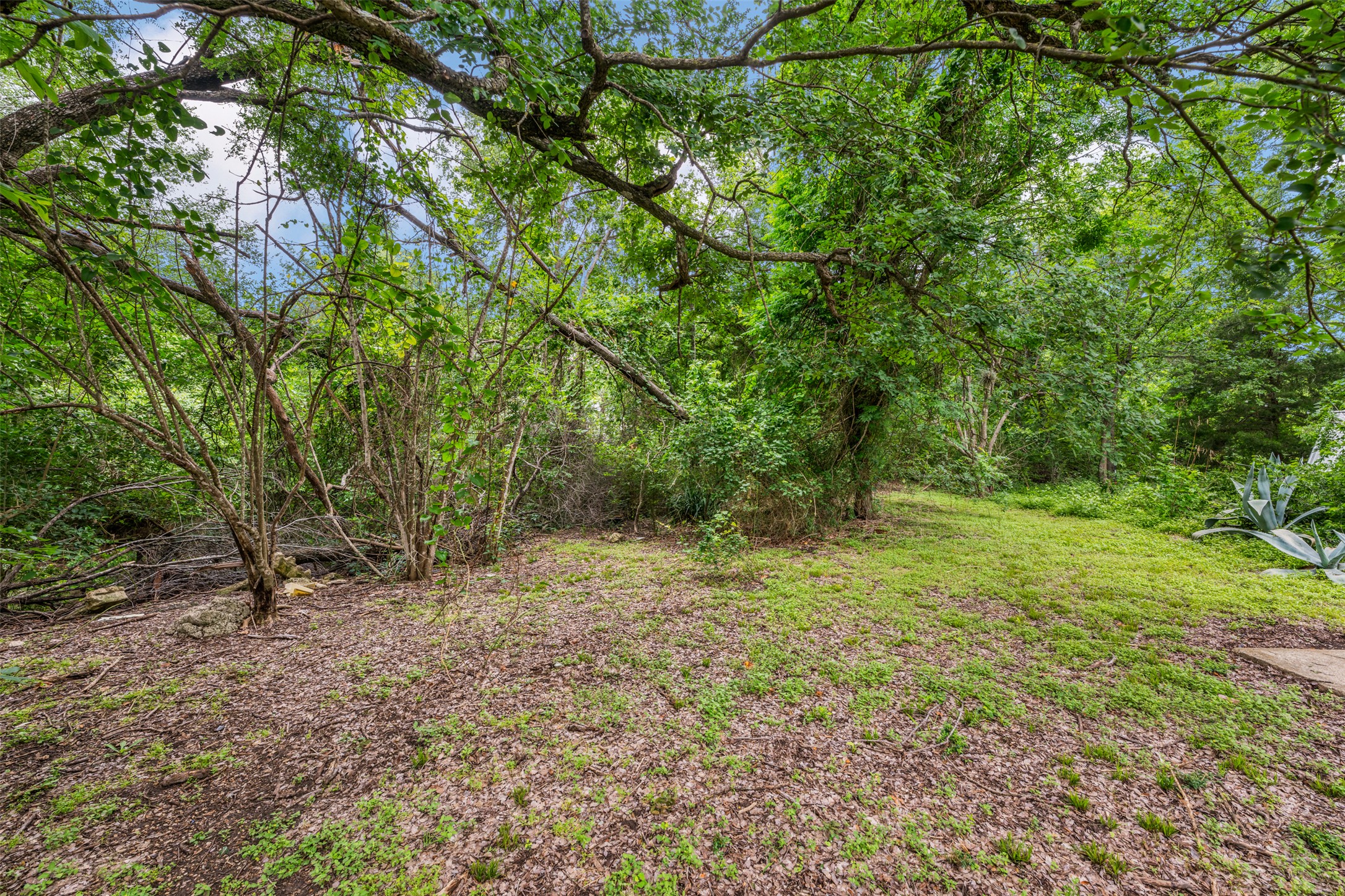 1132 Eleanor Street Austin, TX 78721 - Photo 6 of 14 Back of the lot