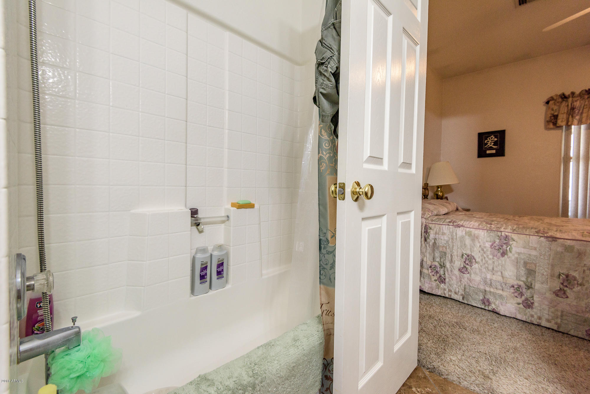 13105 West Calavar Road Surprise, AZ 85379 - Photo 11 of 19 DSC_0888