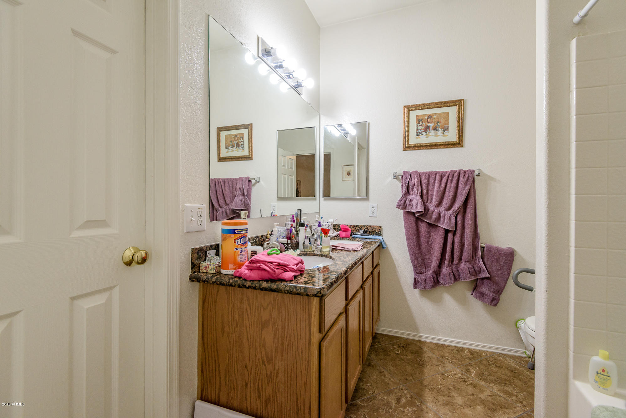 13105 West Calavar Road Surprise, AZ 85379 - Photo 10 of 19 DSC_0887