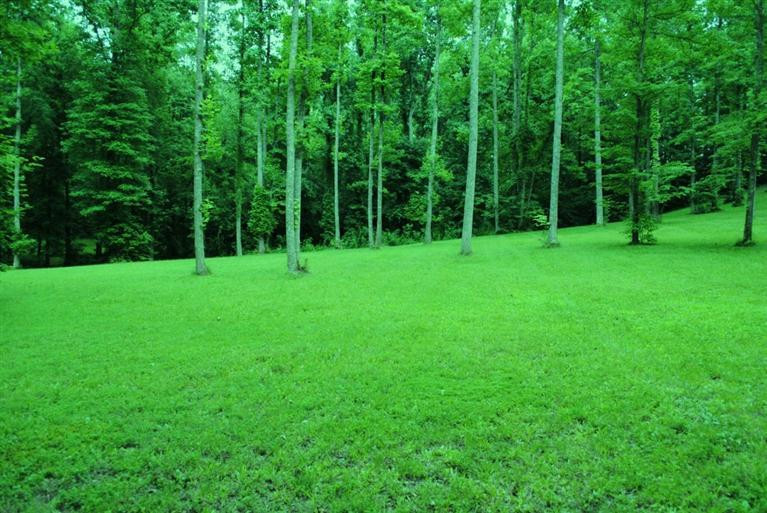 376 Ike Monhollen Road Corbin, KY 40701 - Photo 36 of 41 Photo 36
