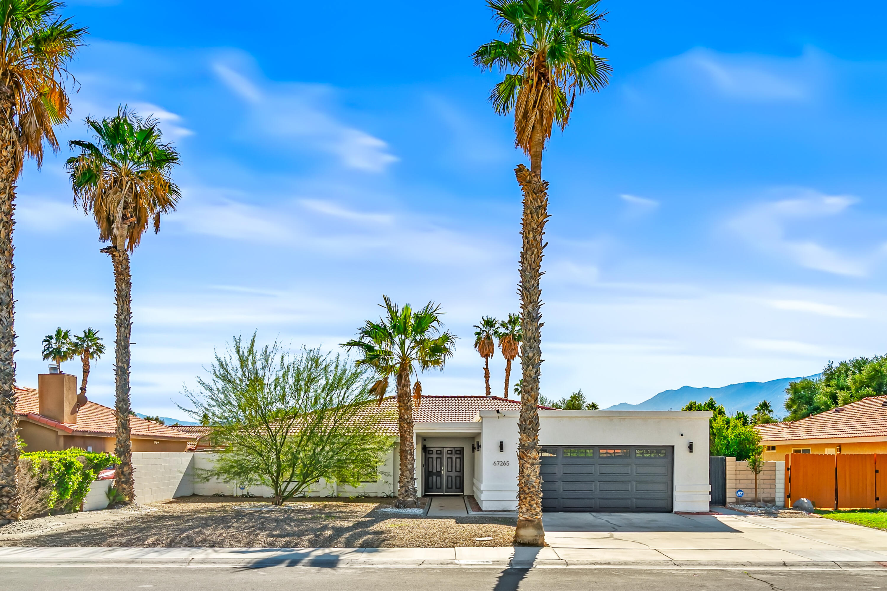 a view of a palm tree with flower plants in front of a house