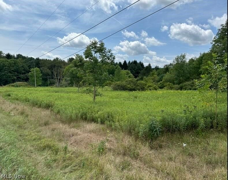 0 Ridgewood Road Wadsworth, OH 44281 - Photo 4 of 26