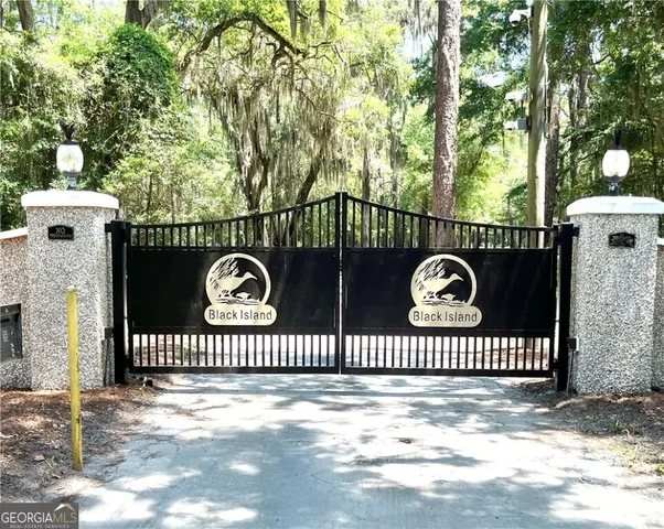 $75,000 | Lot 28 East Black Island Road, Darien, GA 31305