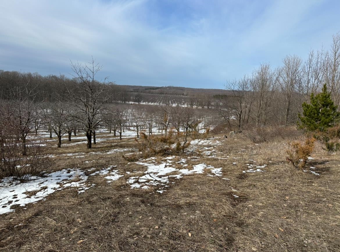 1 South Karnes Road Empire, MI 49630 - Photo 11 of 11