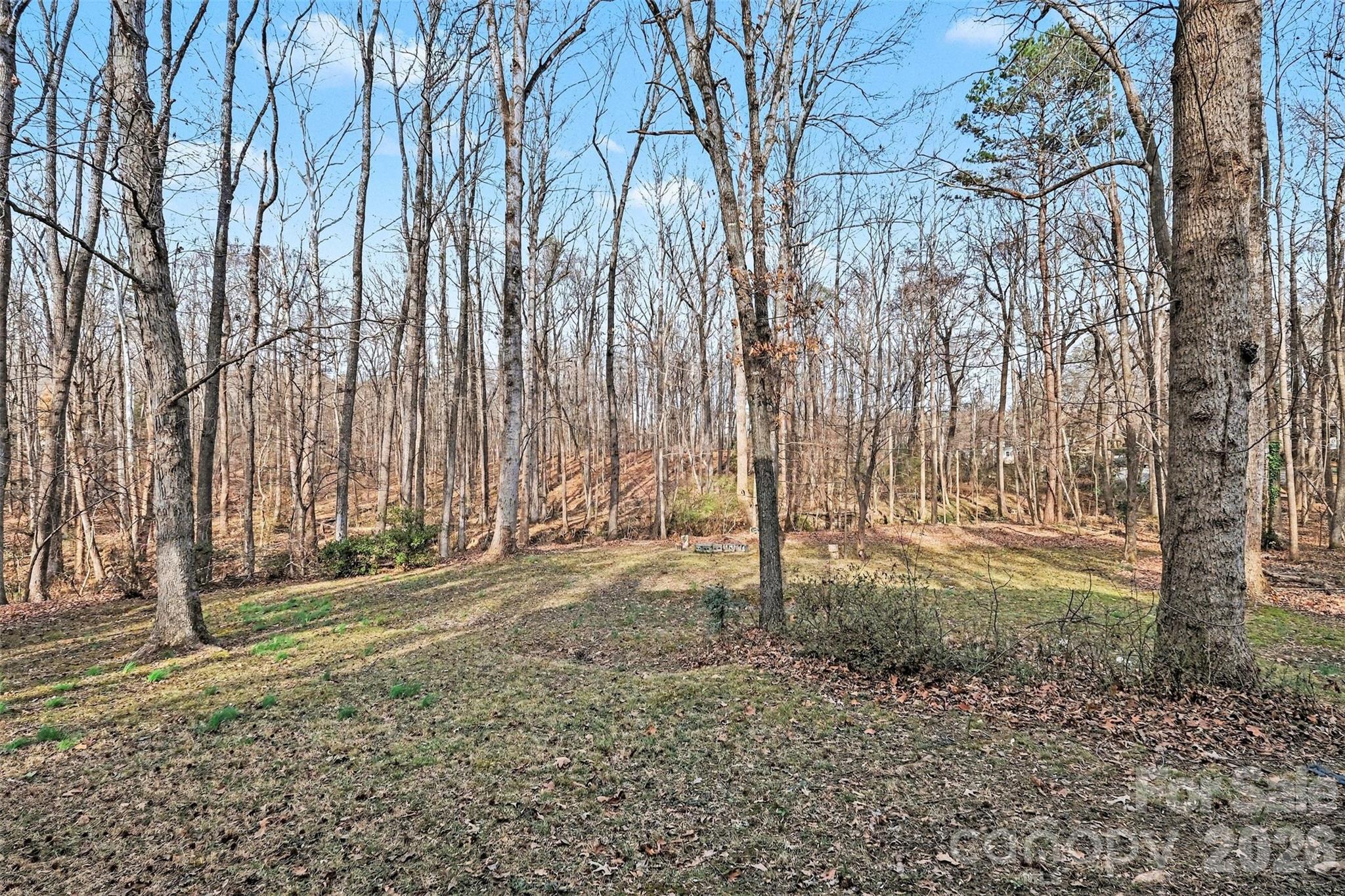 909 Woodland Forest Road Waxhaw, NC 28173 - Photo 36 of 38 a backyard of a house with lots of green space