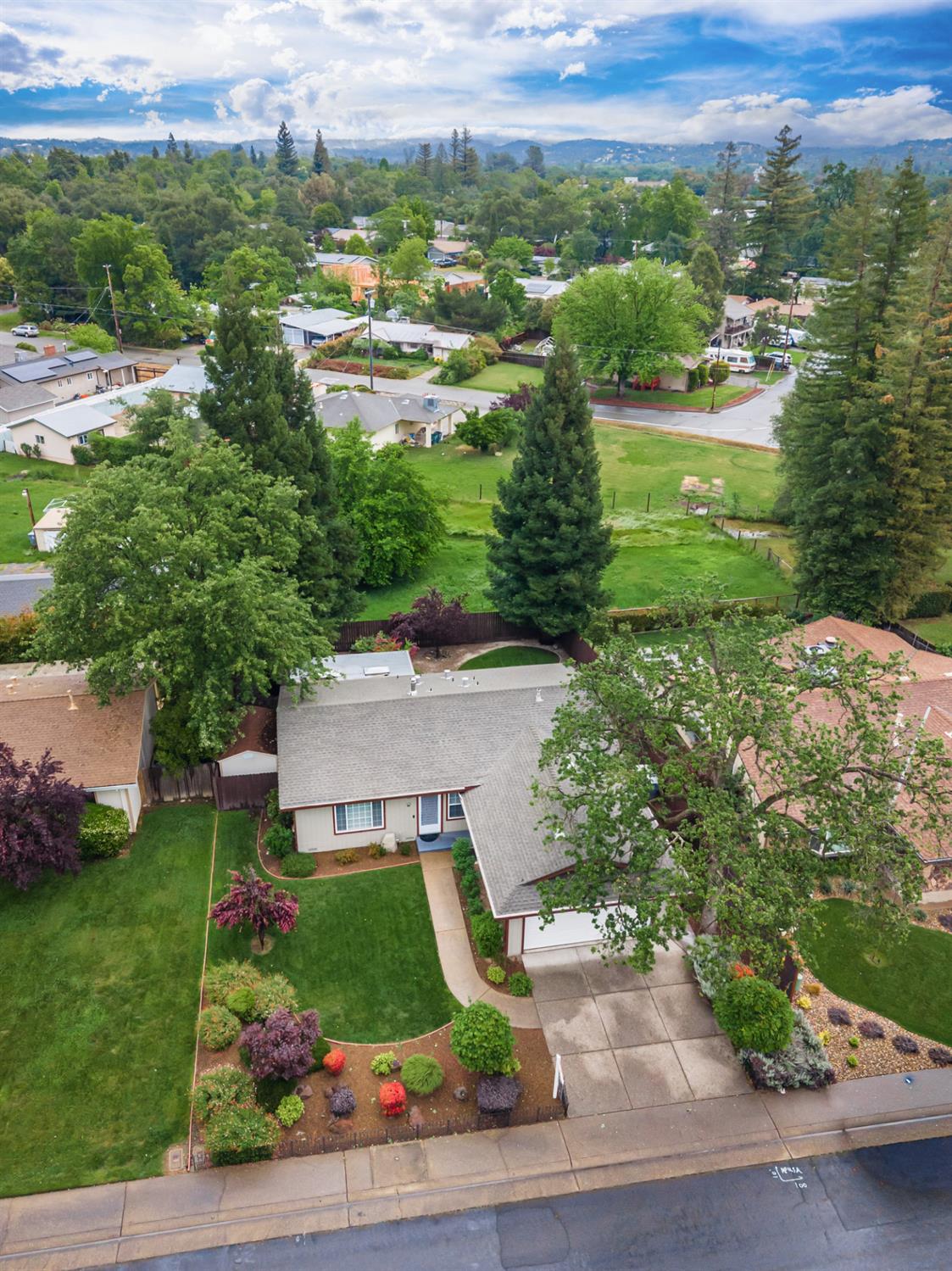 5705 Tudor Way Loomis, CA 95650 - Photo 45 of 59 a view of a garden with a lot of trees & street