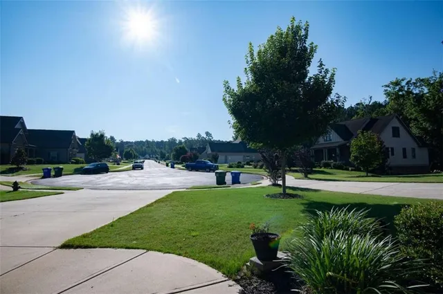 a view of a garden with plants