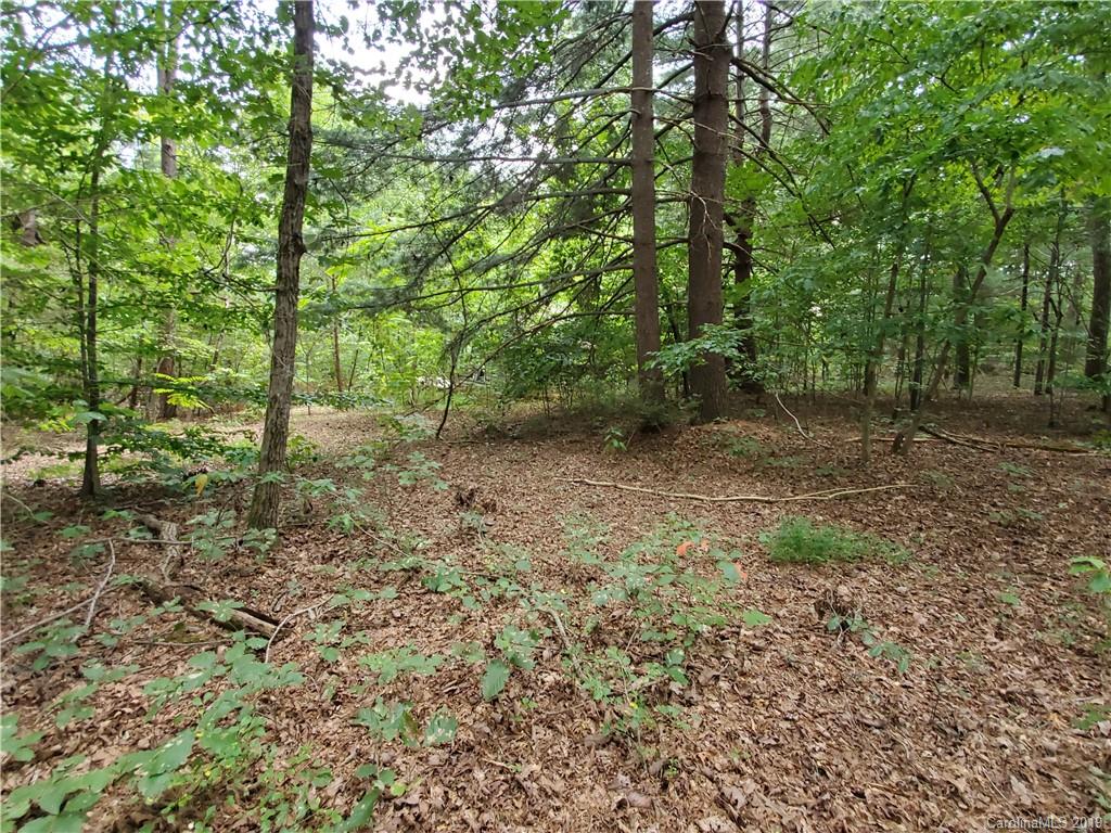 0 East Lackey Farm Road Stony Point, NC 28678 - Photo 5 of 16 Gallery Image 5