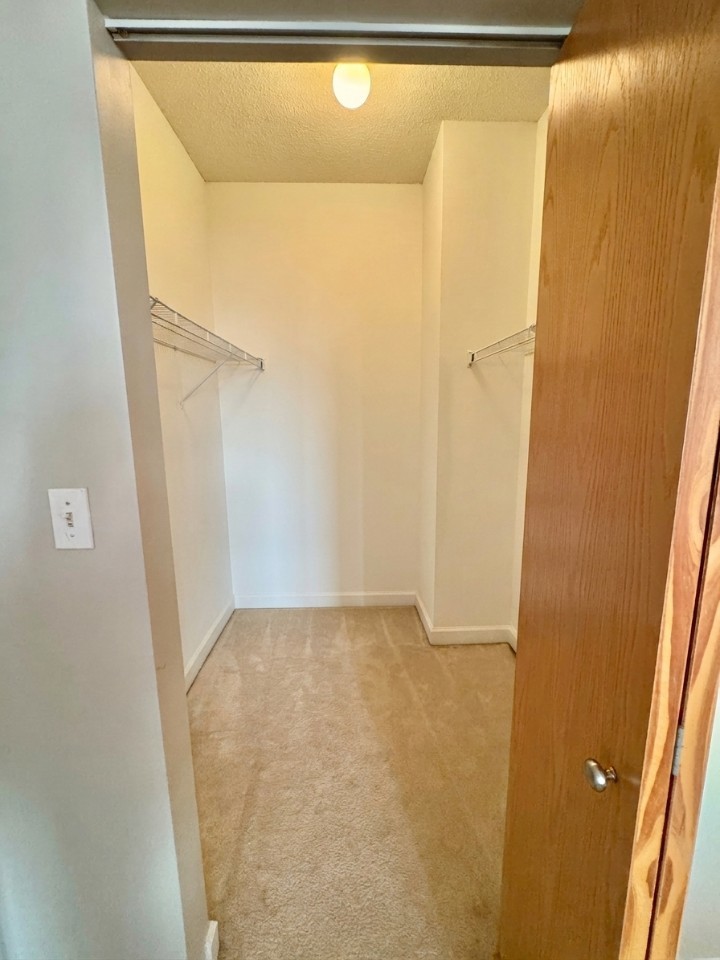 41 East 8th Street, Unit 1805 Chicago, IL 60605 - Photo 12 of 33 a view of closet