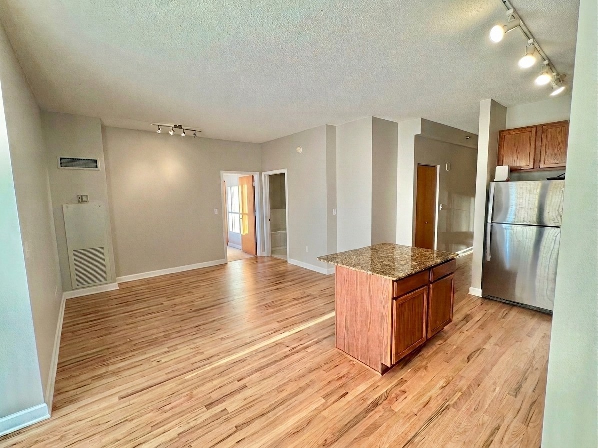 41 East 8th Street, Unit 1805 Chicago, IL 60605 - Photo 13 of 33 a kitchen with stainless steel appliances granite countertop a stove and a wooden floors