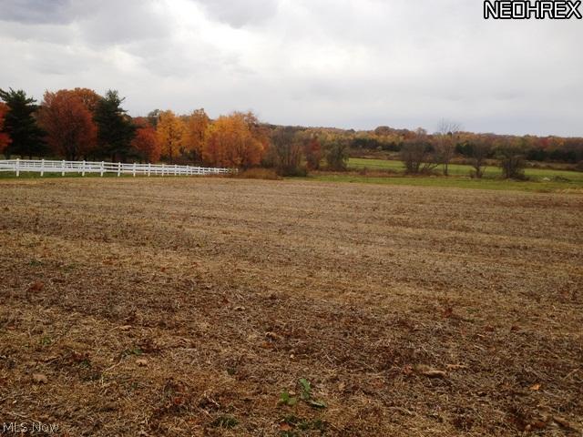 1077 Fixler Road Wadsworth, OH 44281 - Photo 14 of 24