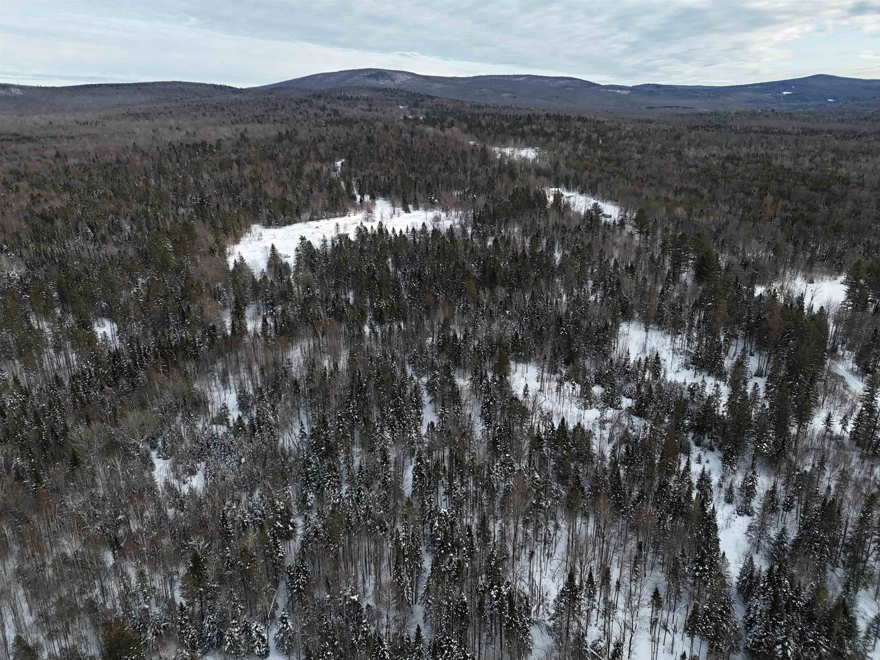 Spar Hawk Road Greensboro Bend, VT 05842 - Photo 11 of 29