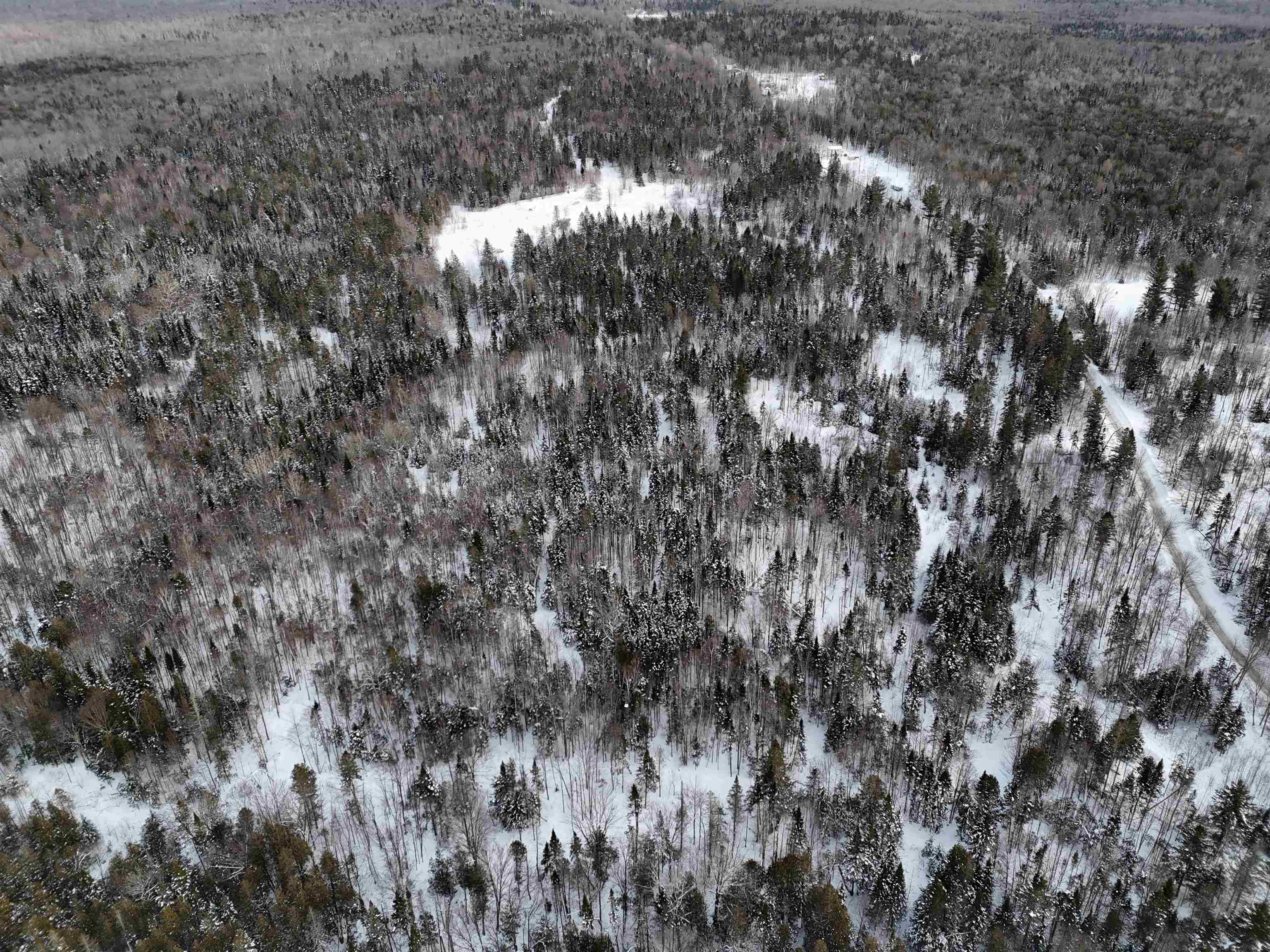 Spar Hawk Road Greensboro Bend, VT 05842 - Photo 12 of 29