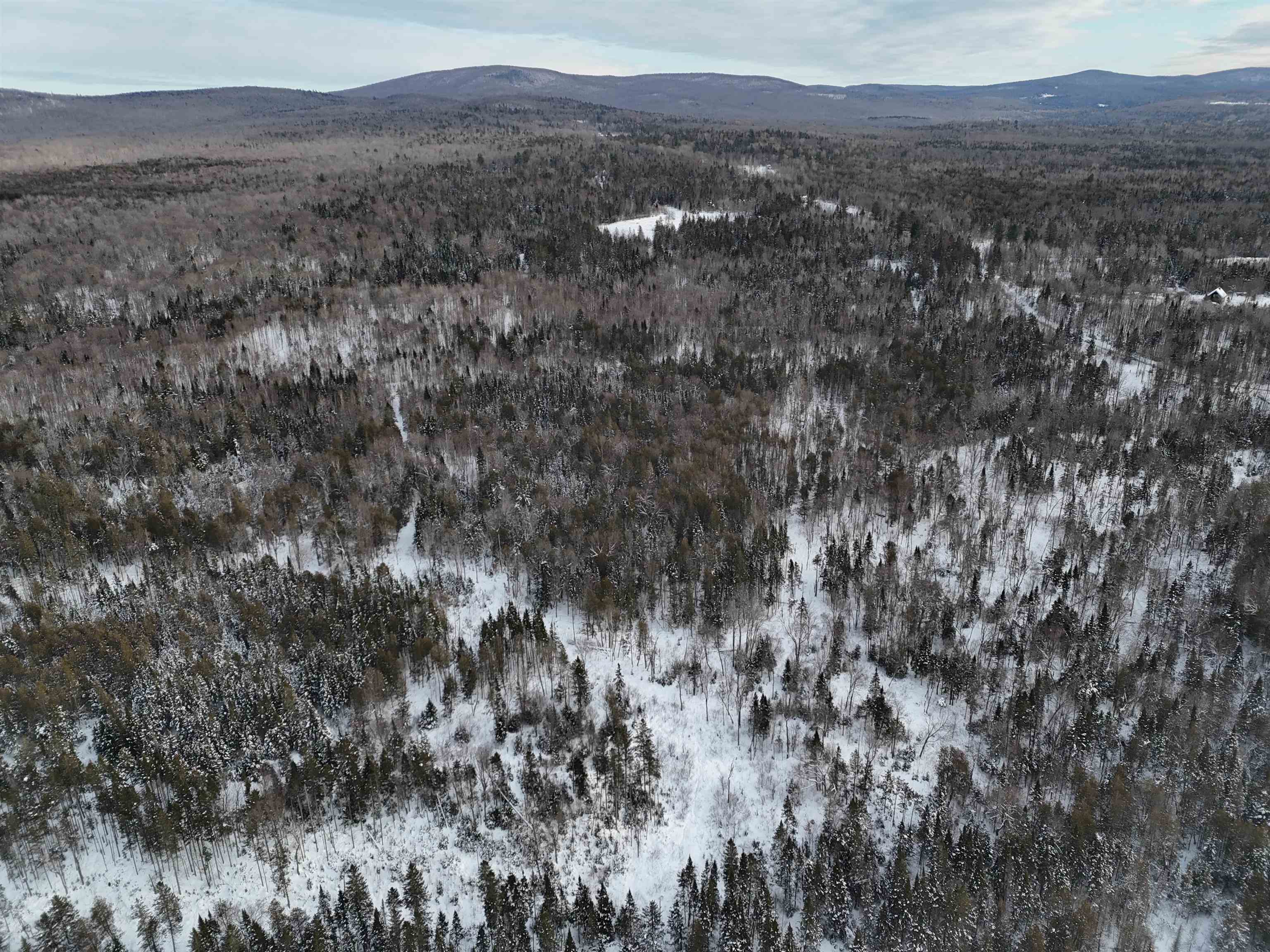 Spar Hawk Road Greensboro Bend, VT 05842 - Photo 14 of 29