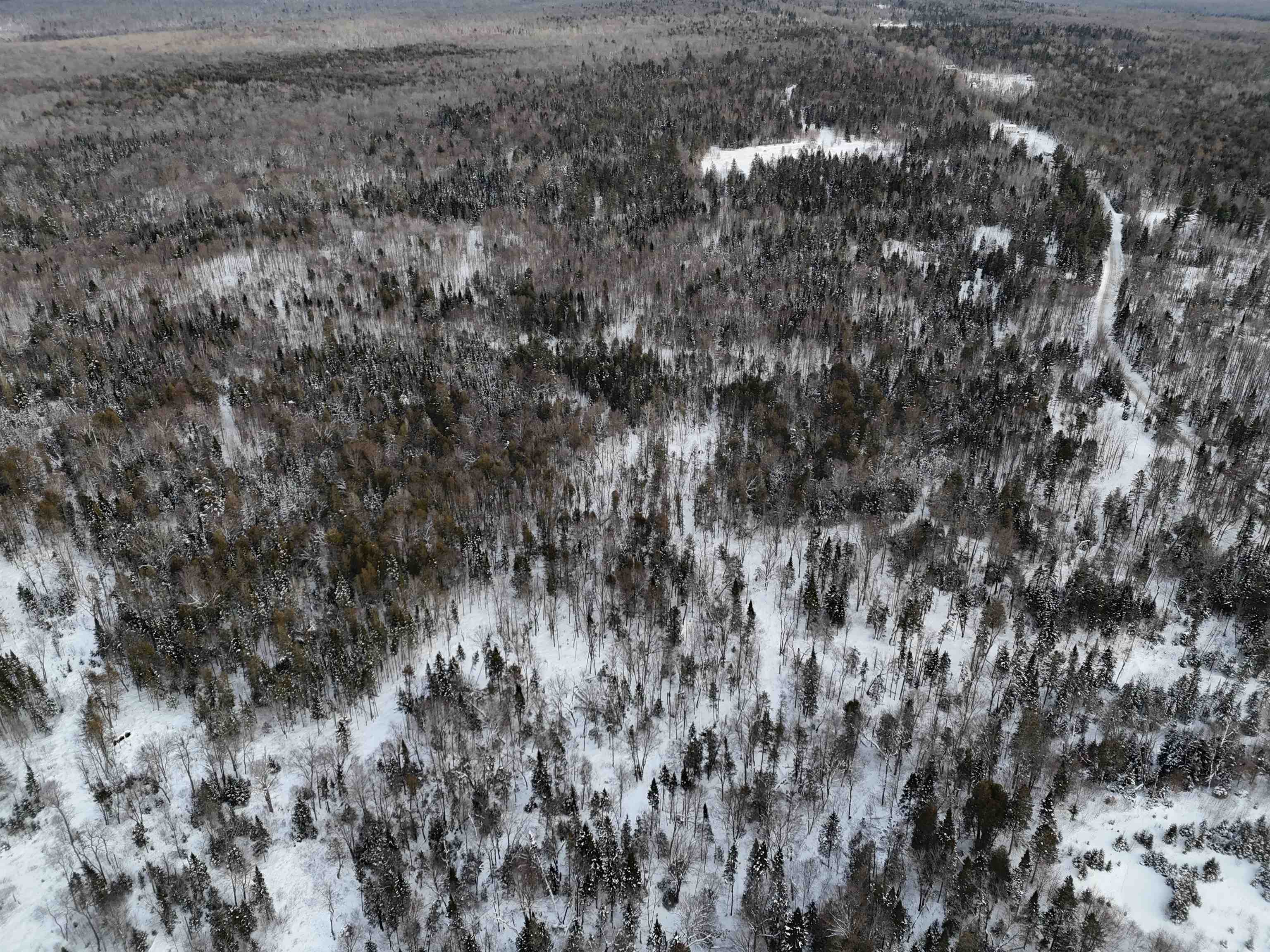 Spar Hawk Road Greensboro Bend, VT 05842 - Photo 16 of 29