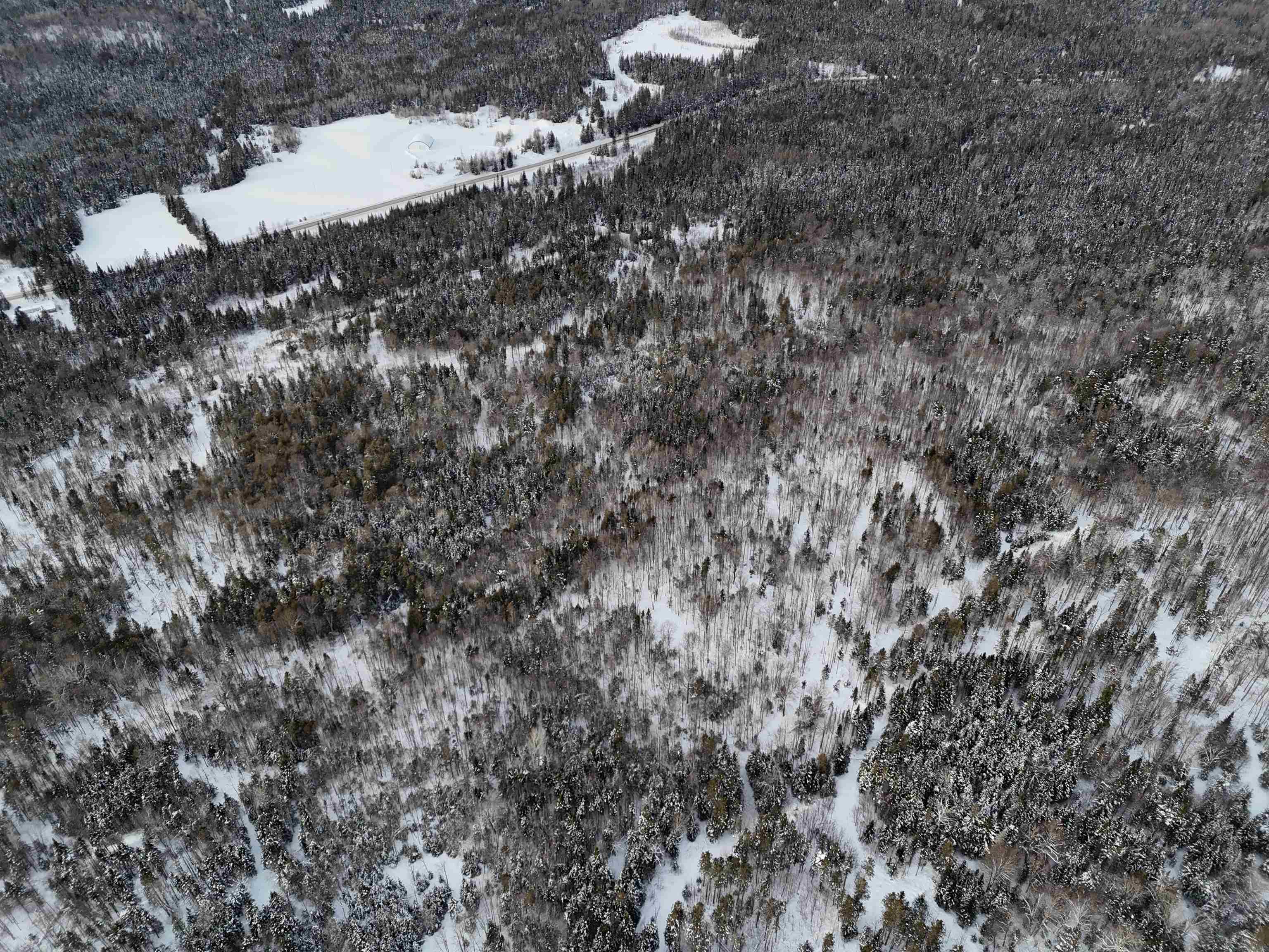 Spar Hawk Road Greensboro Bend, VT 05842 - Photo 22 of 29