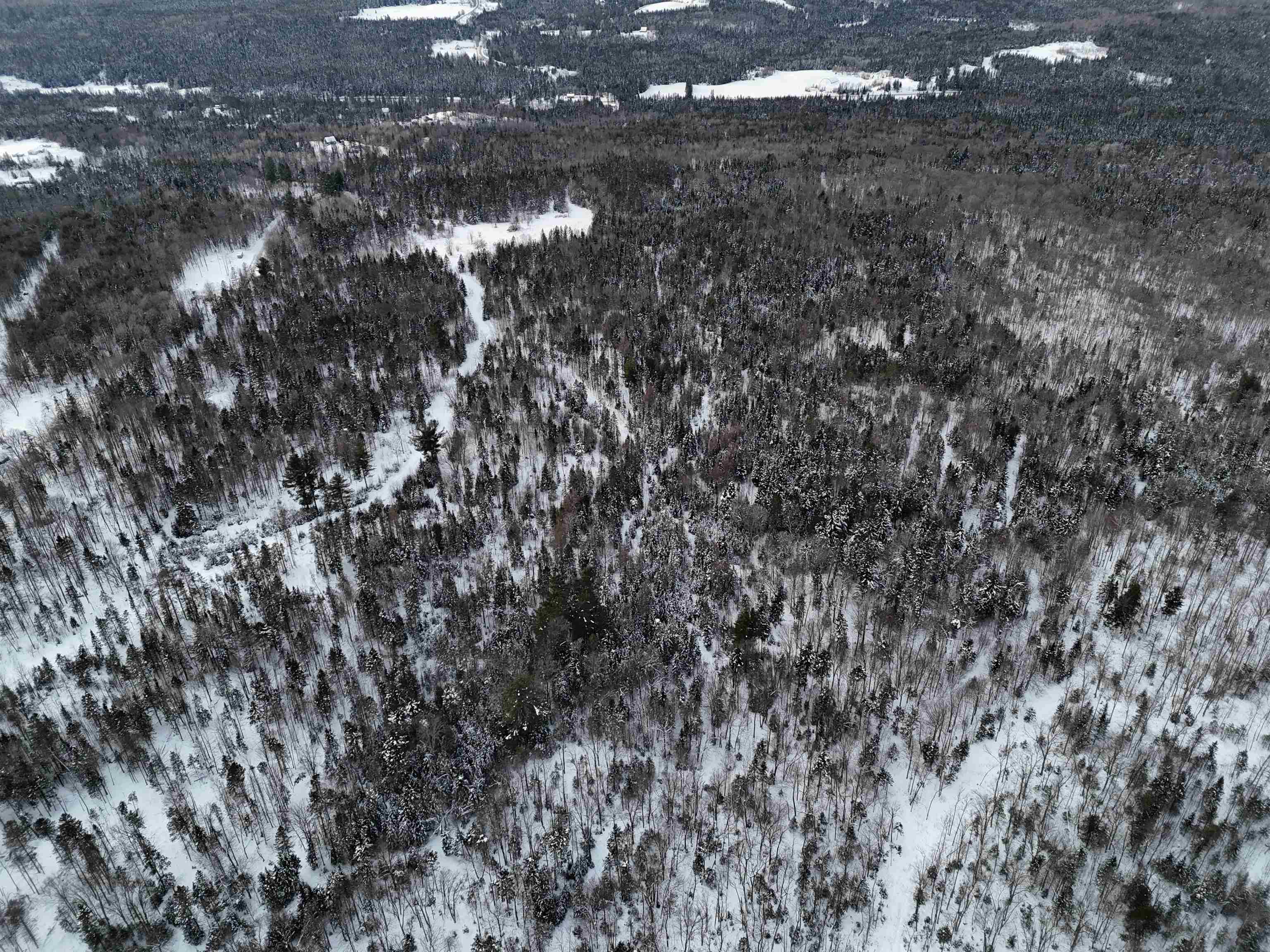 Spar Hawk Road Greensboro Bend, VT 05842 - Photo 25 of 29