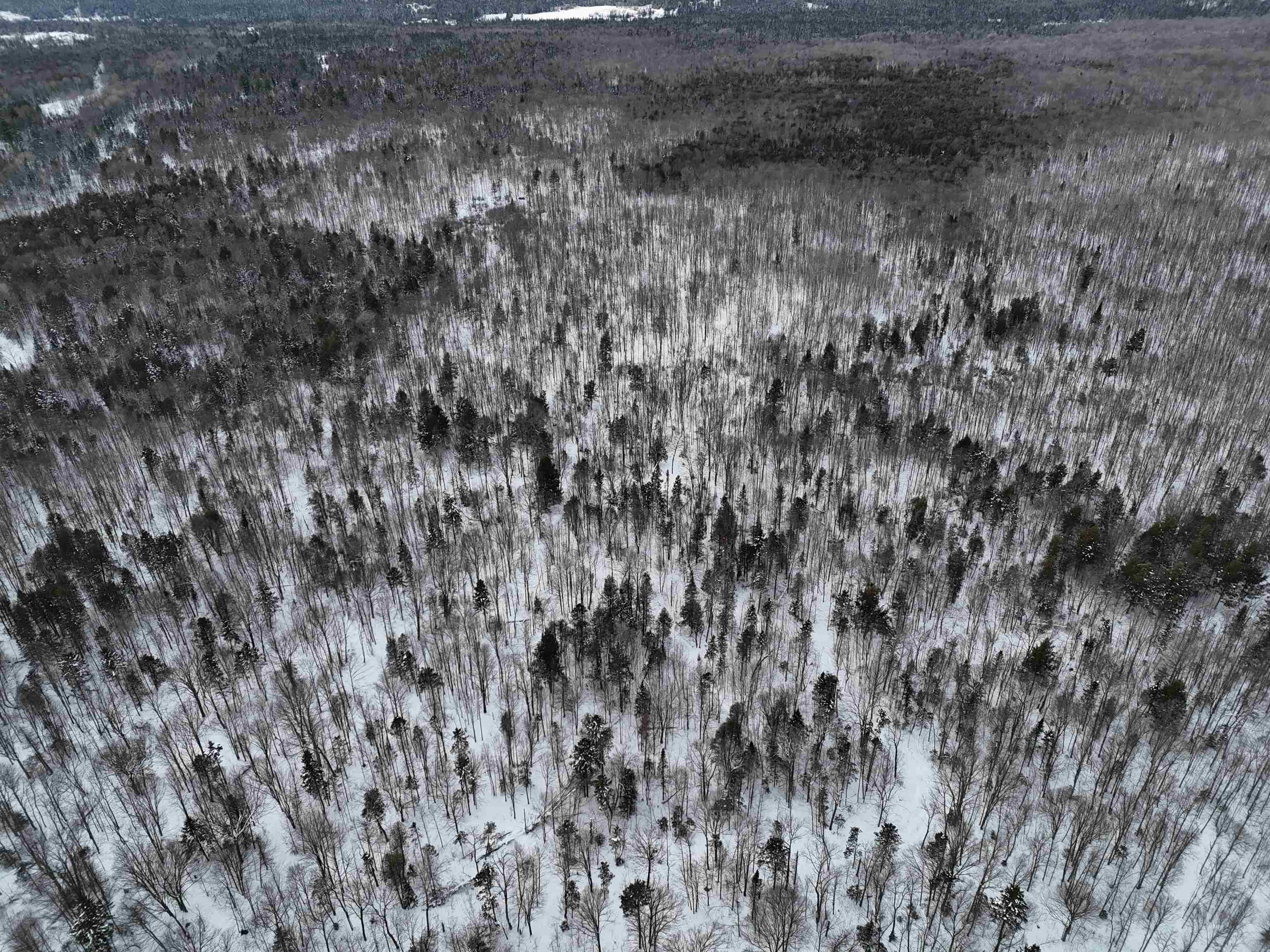 Spar Hawk Road Greensboro Bend, VT 05842 - Photo 28 of 29